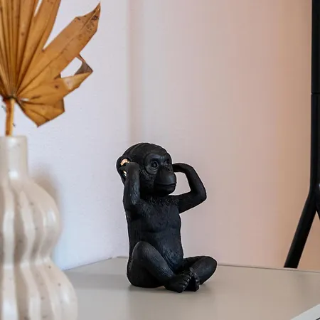 Apartament Casa Maanoo *